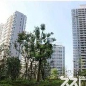 亭湖城东开发区独栋11000平厂房出售