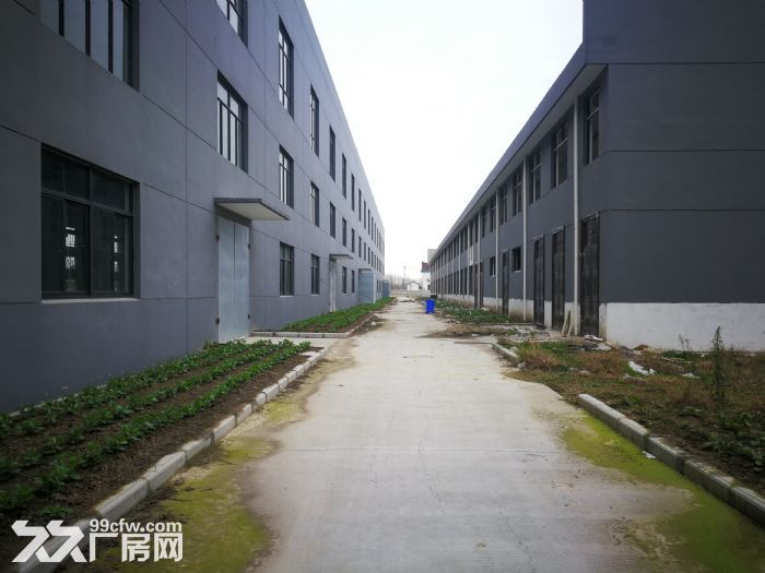 全新厂房待出租待出售-图3