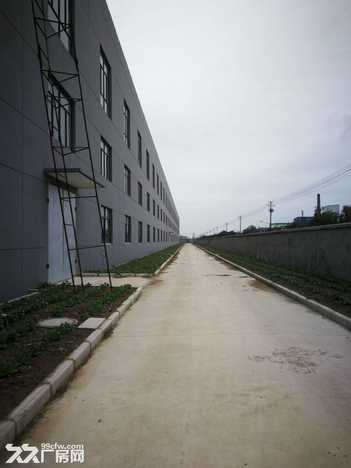 全新厂房待出租待出售-图4