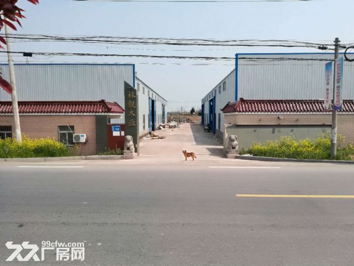 盐城射阳新坍镇全新钢结构厂房出租
