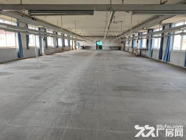 东台市梁垛镇老204国道西侧标准厂房-图2